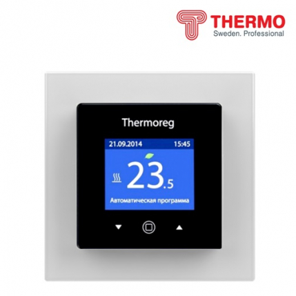 Thermoreg TI-970 